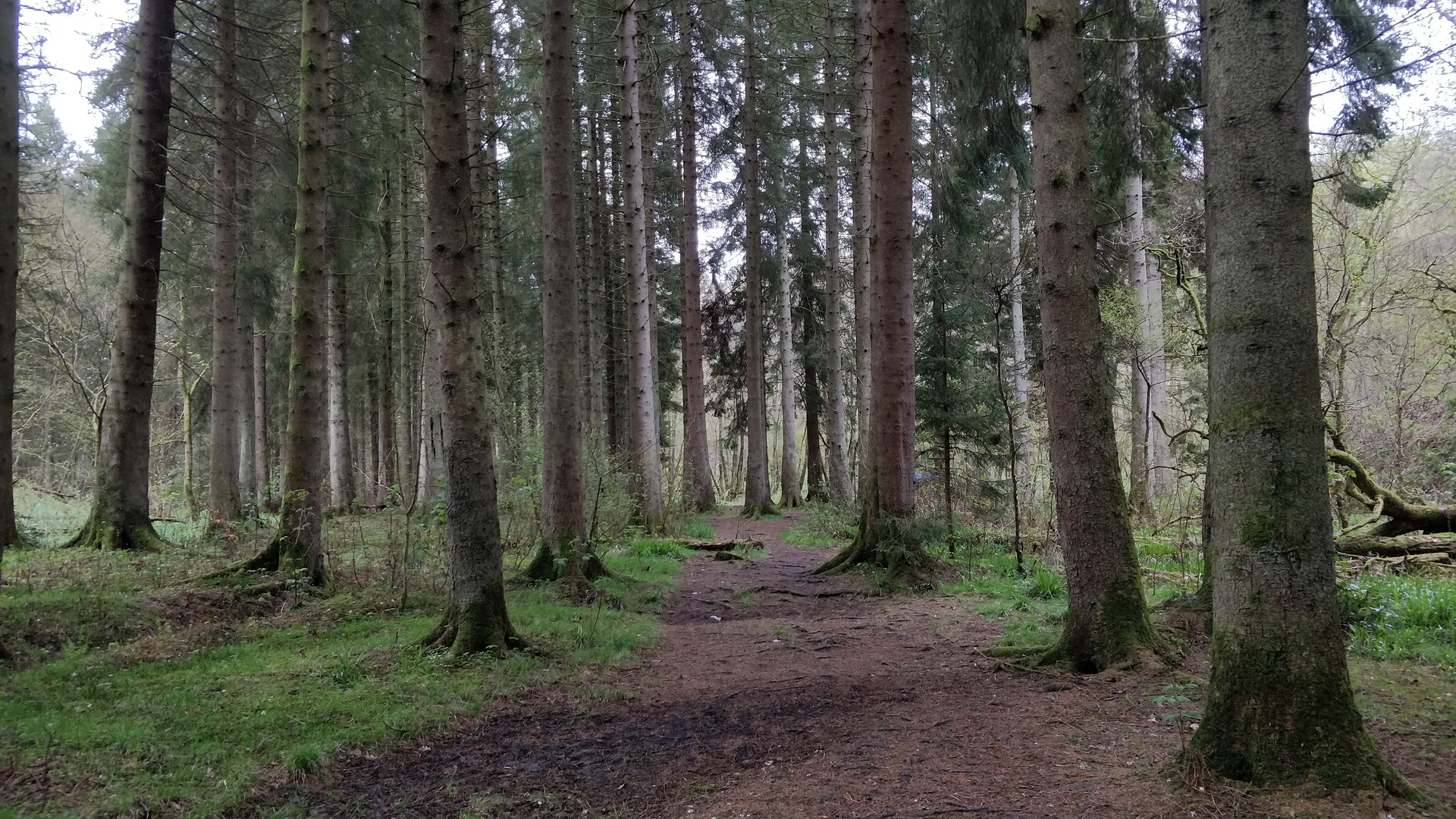 Image1