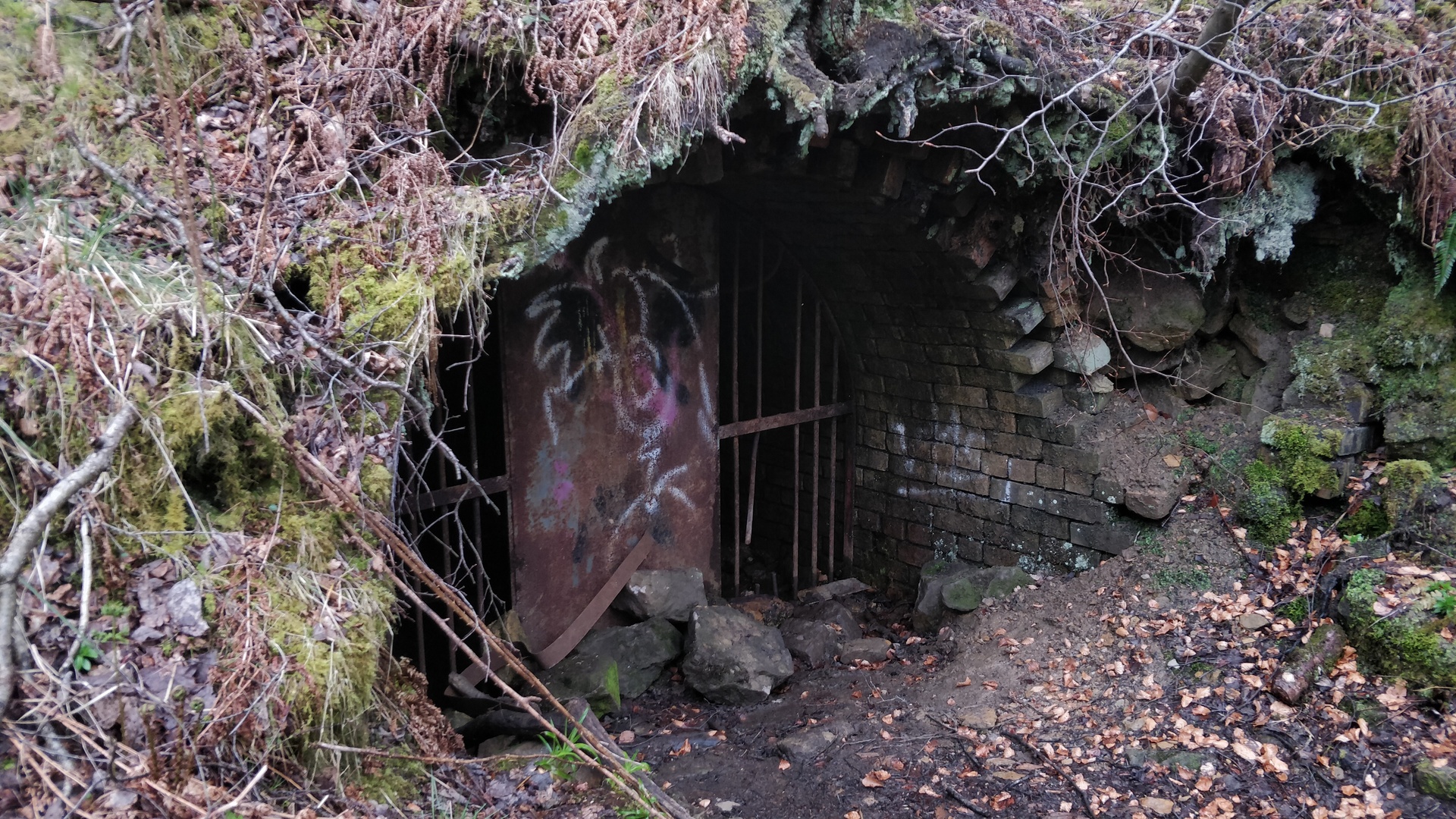 Image10