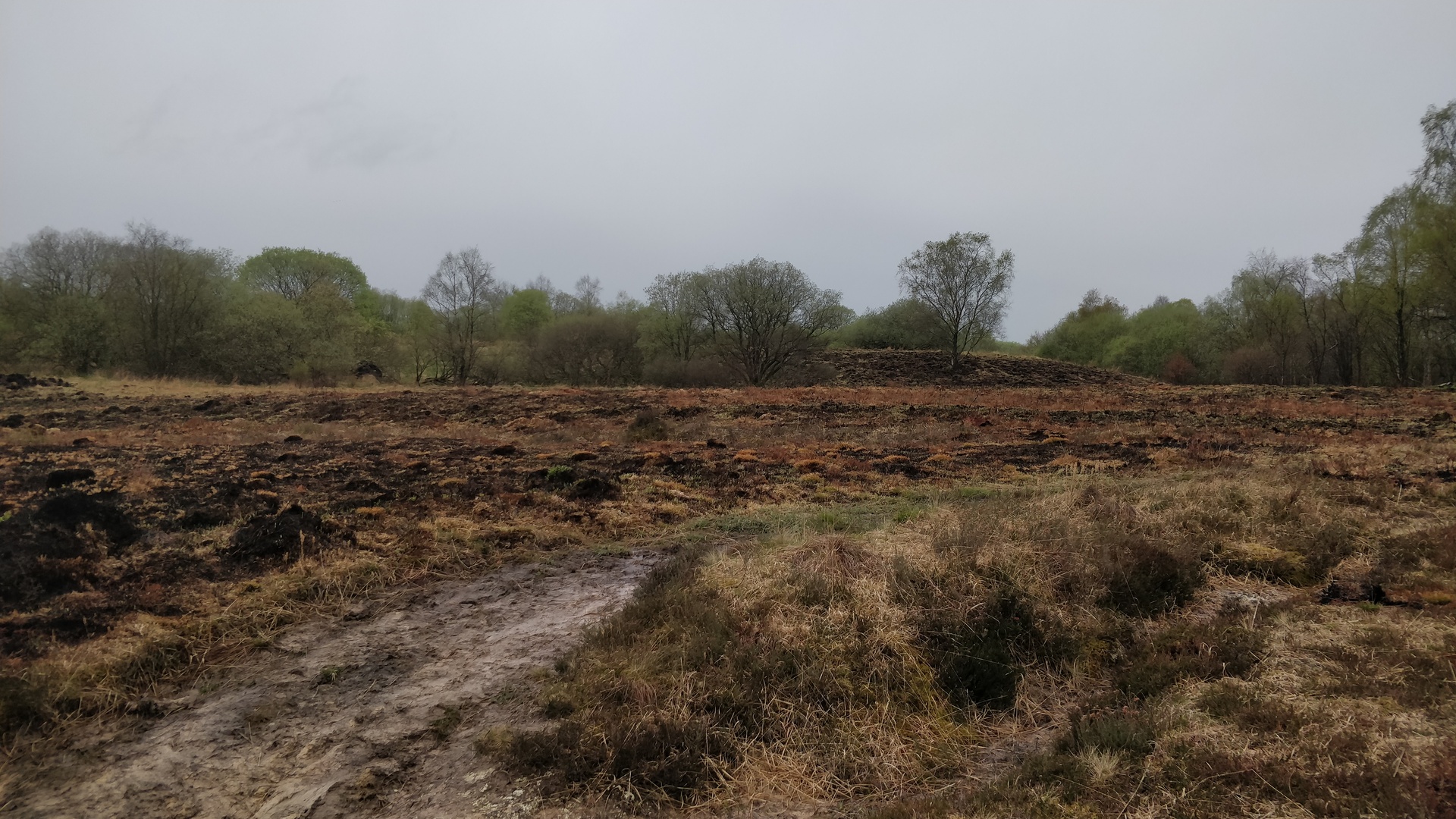 Image12