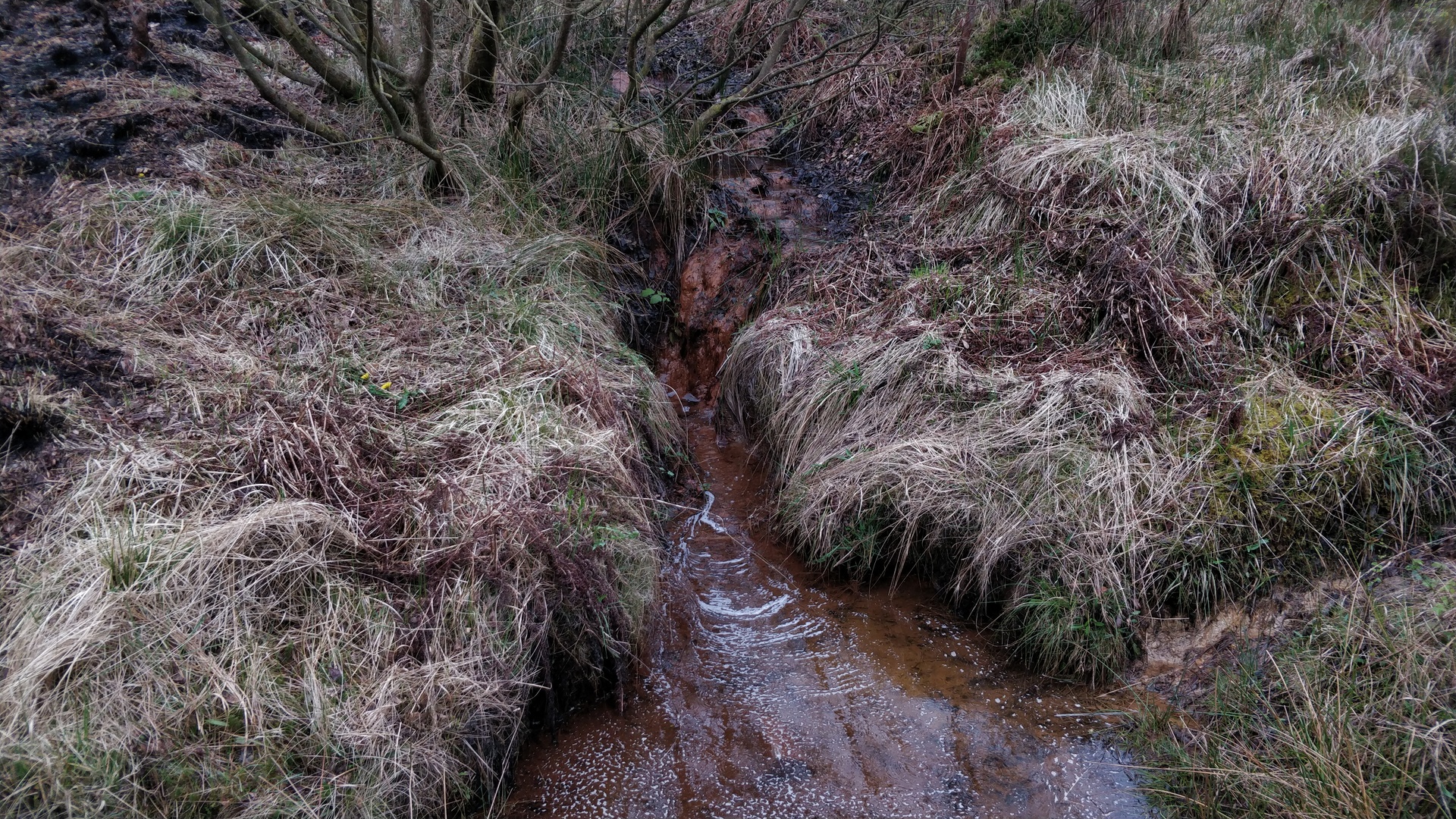 Image13