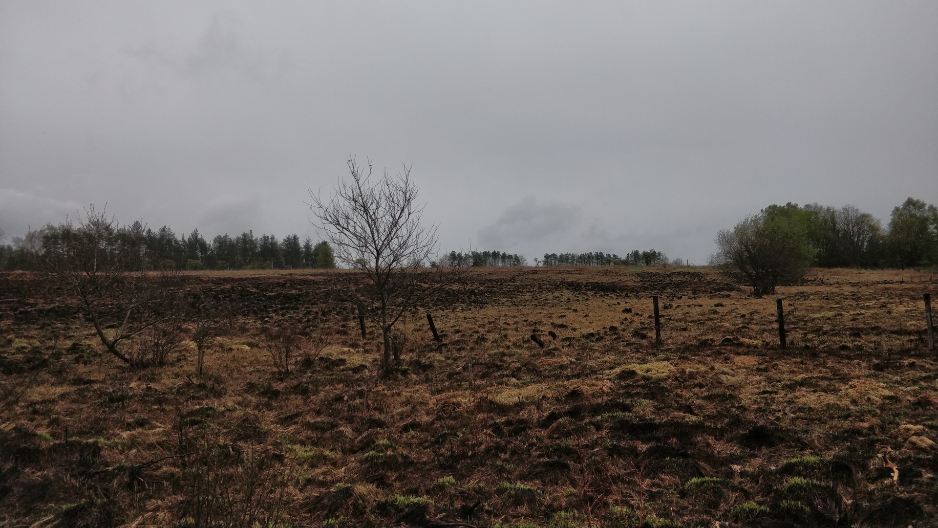 Image14