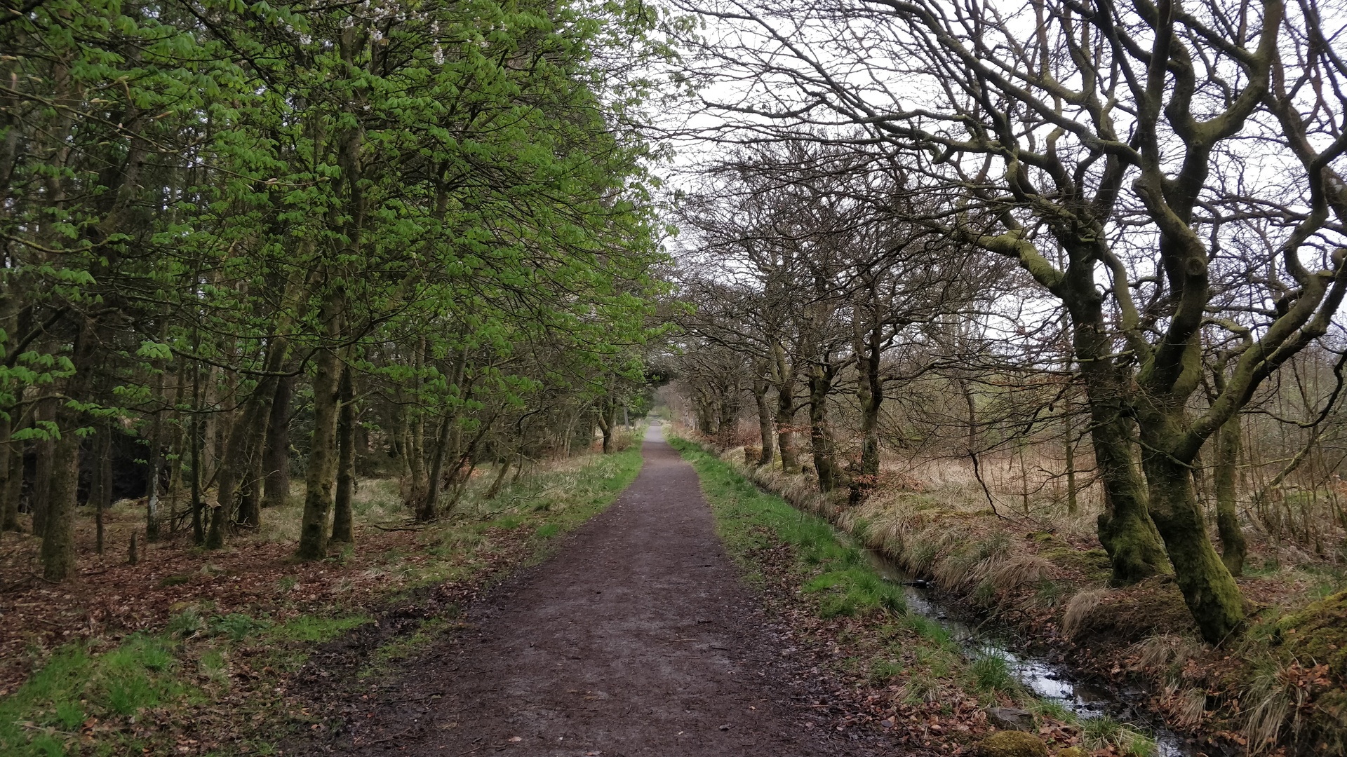 Image15