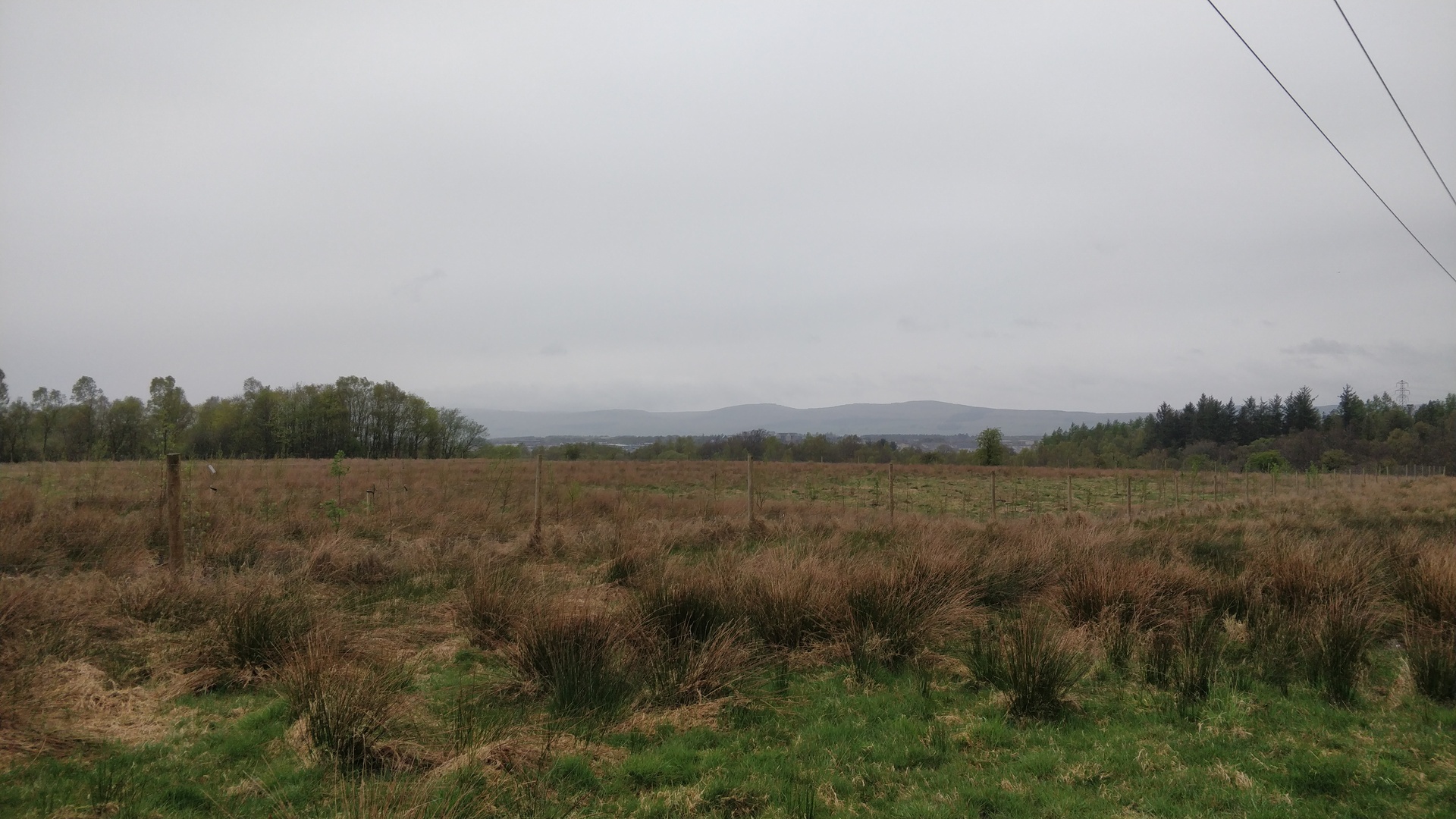 Image16