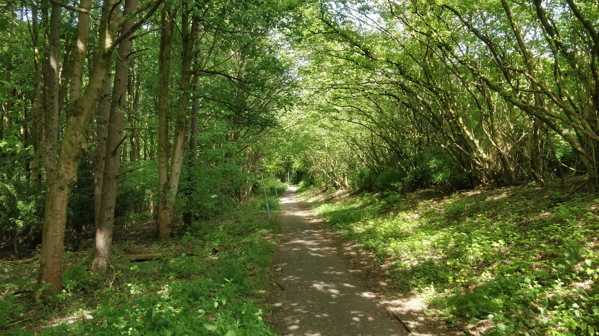 Image18