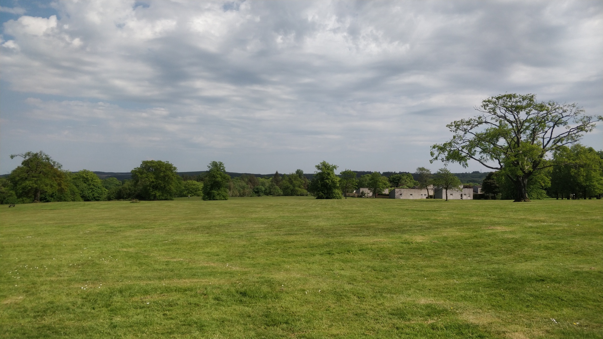 Image19