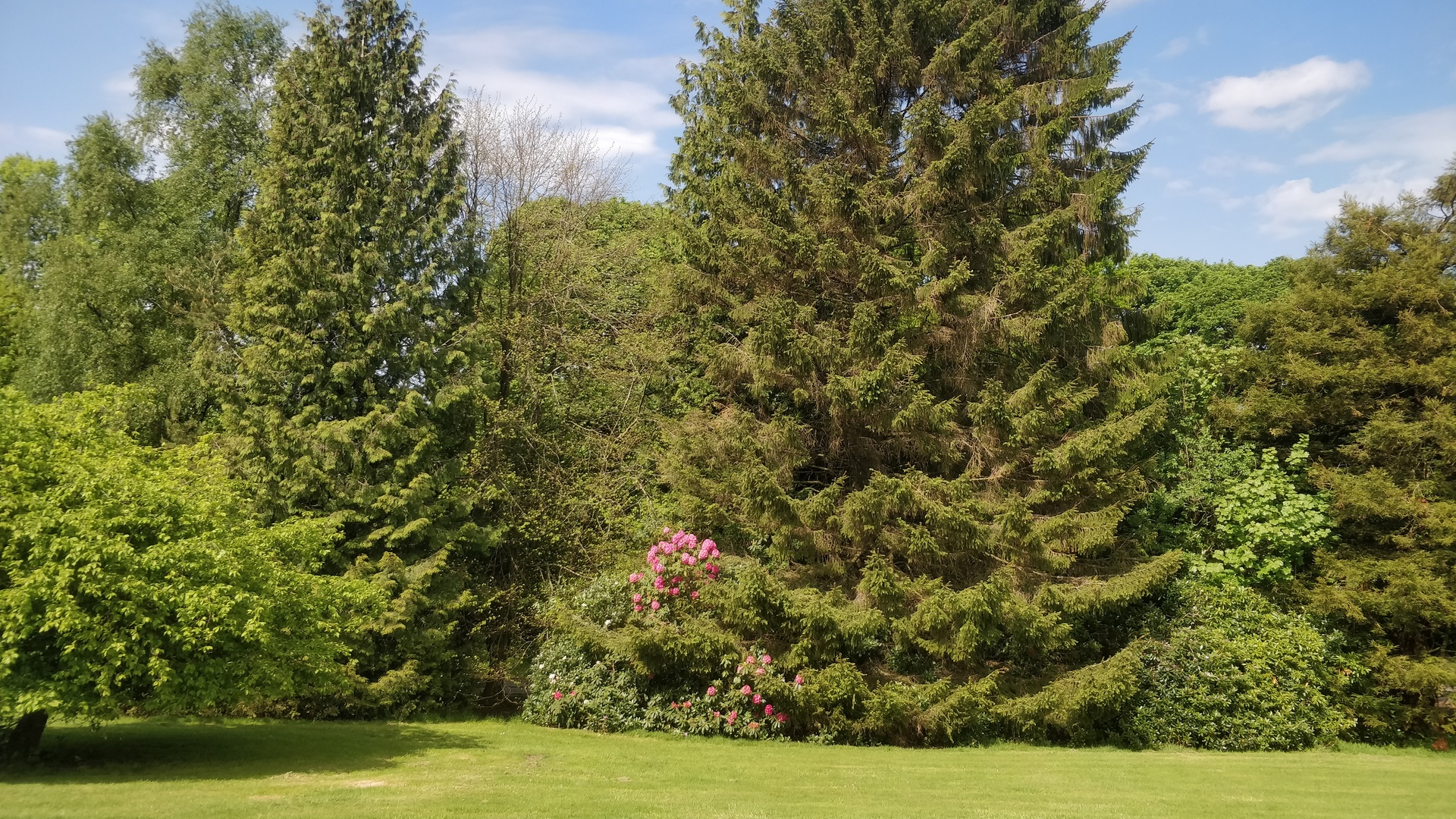 Image21