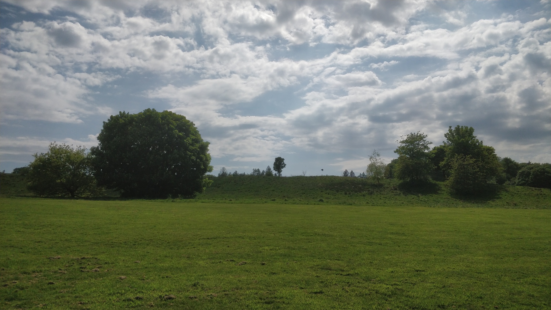 Image22