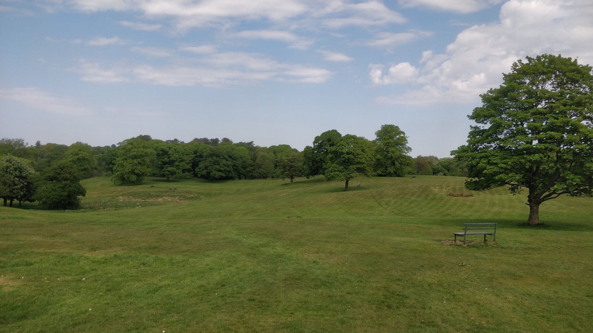 Image23