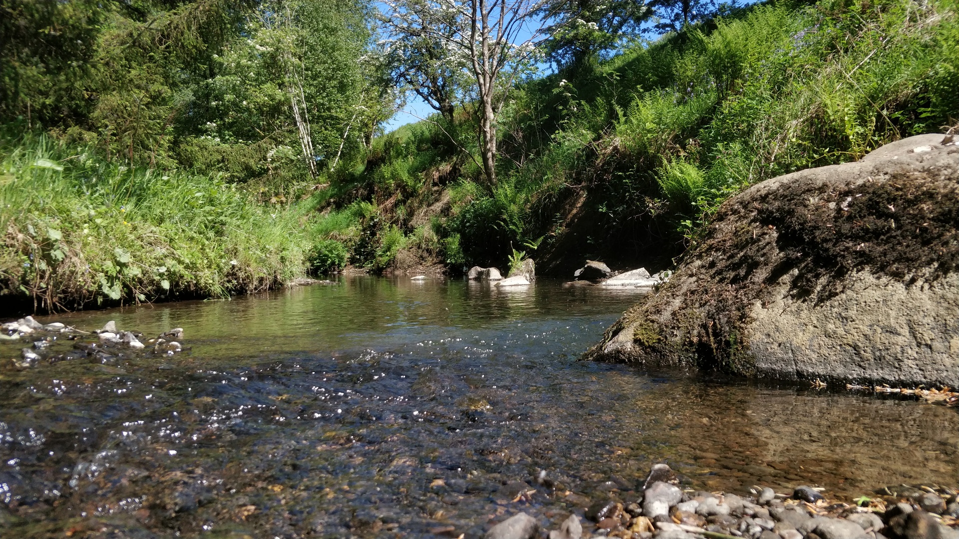 Image25