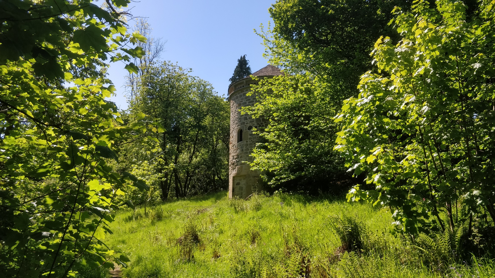 Image27