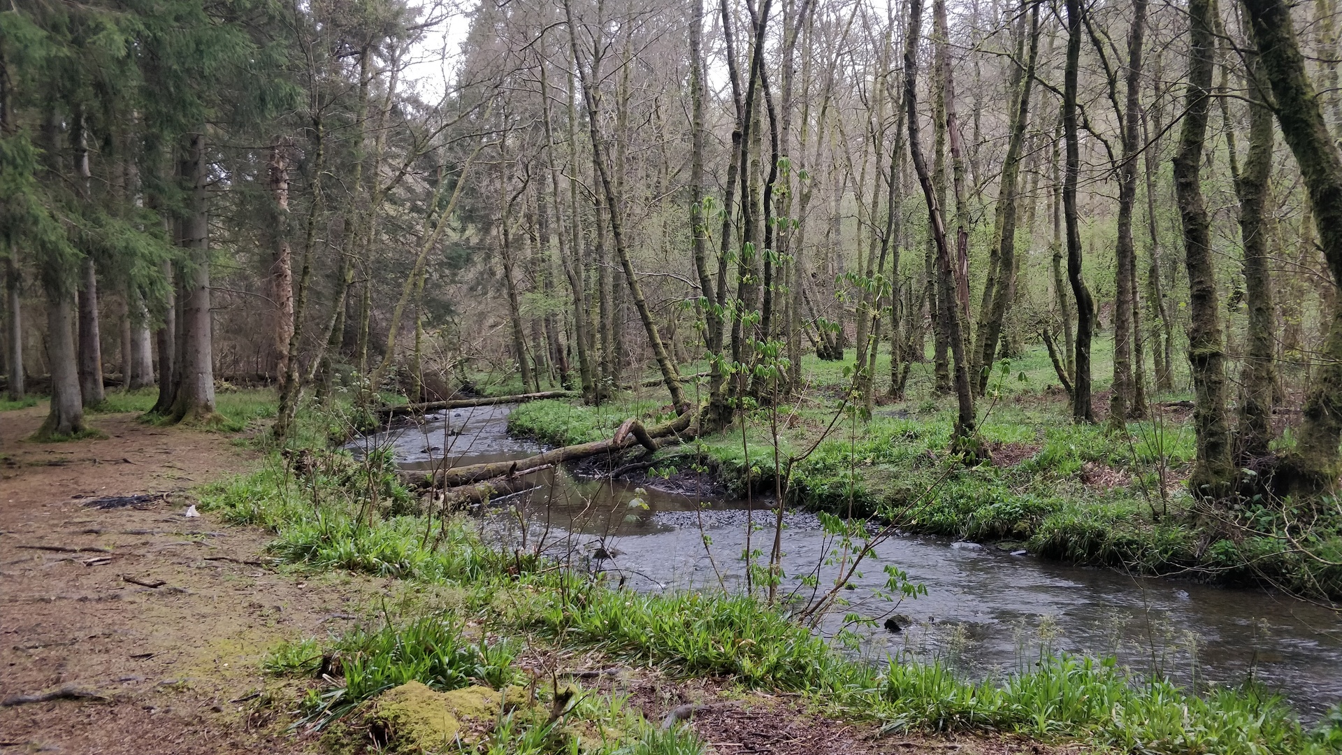 Image3