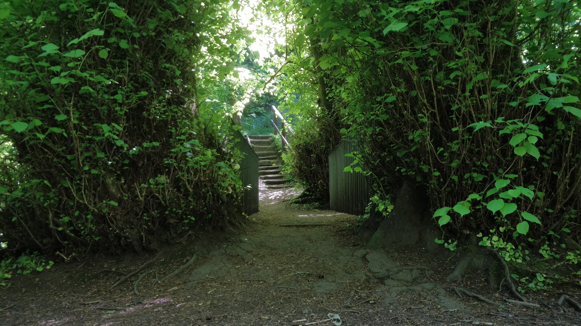 Image31