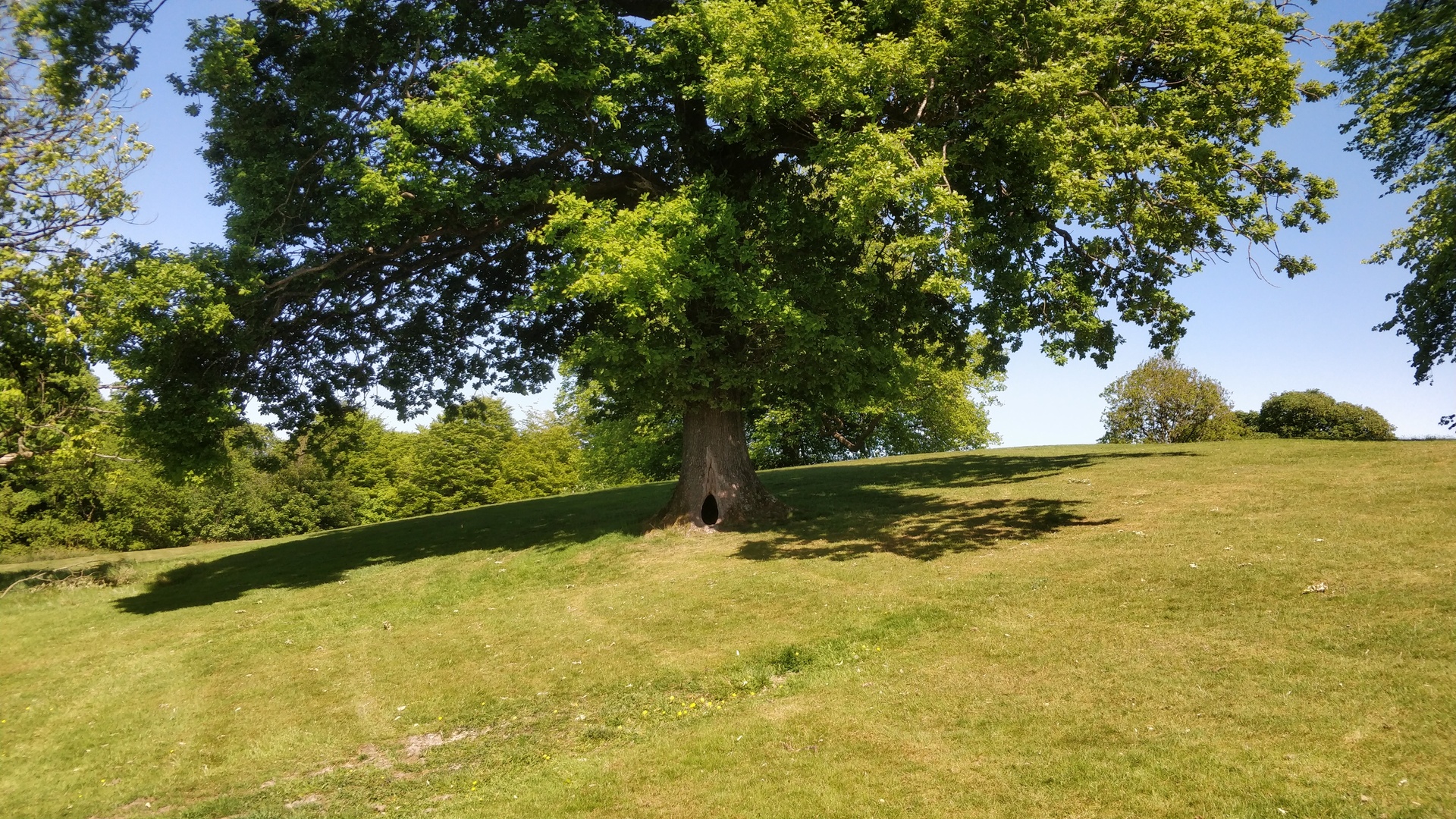 Image35