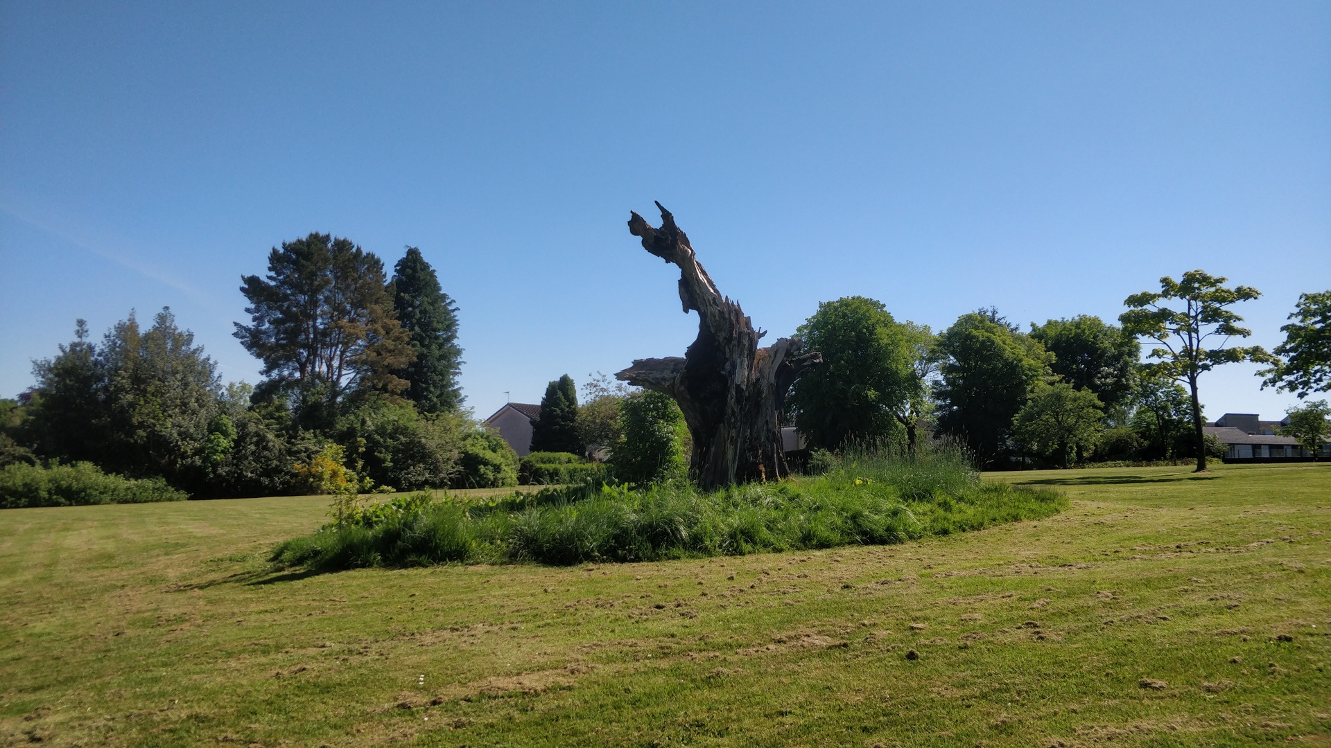 Image37