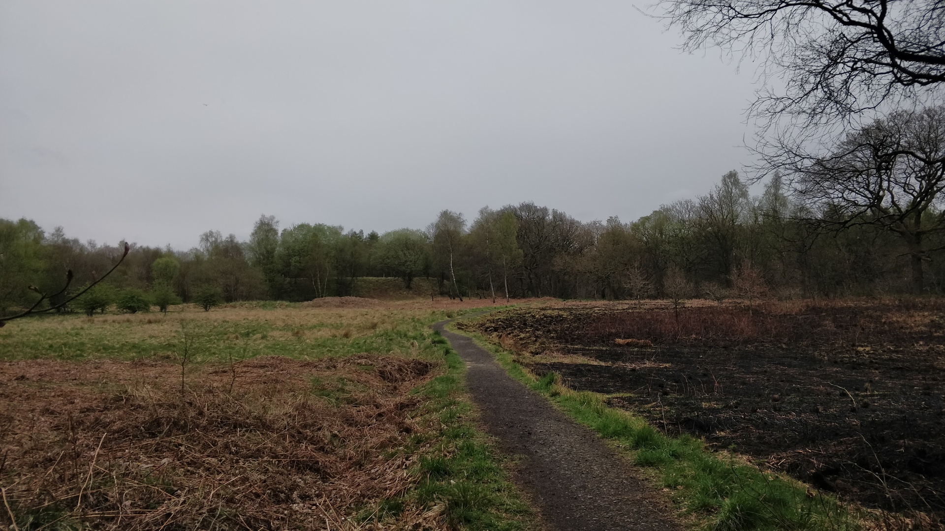 Image6