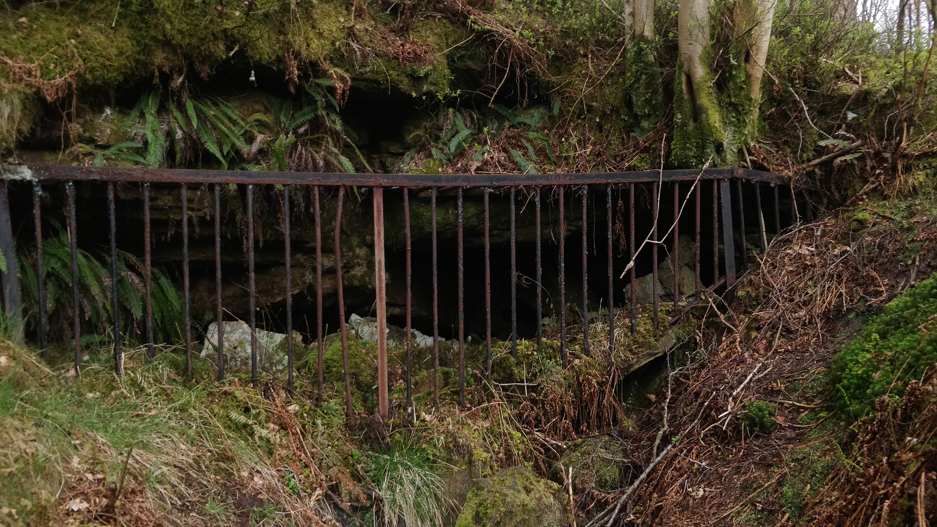 Image9